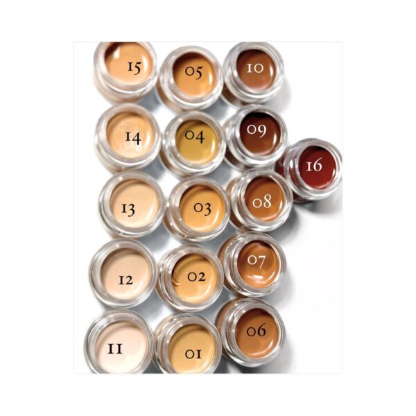 Vee Beauty Magic Cover Concealer