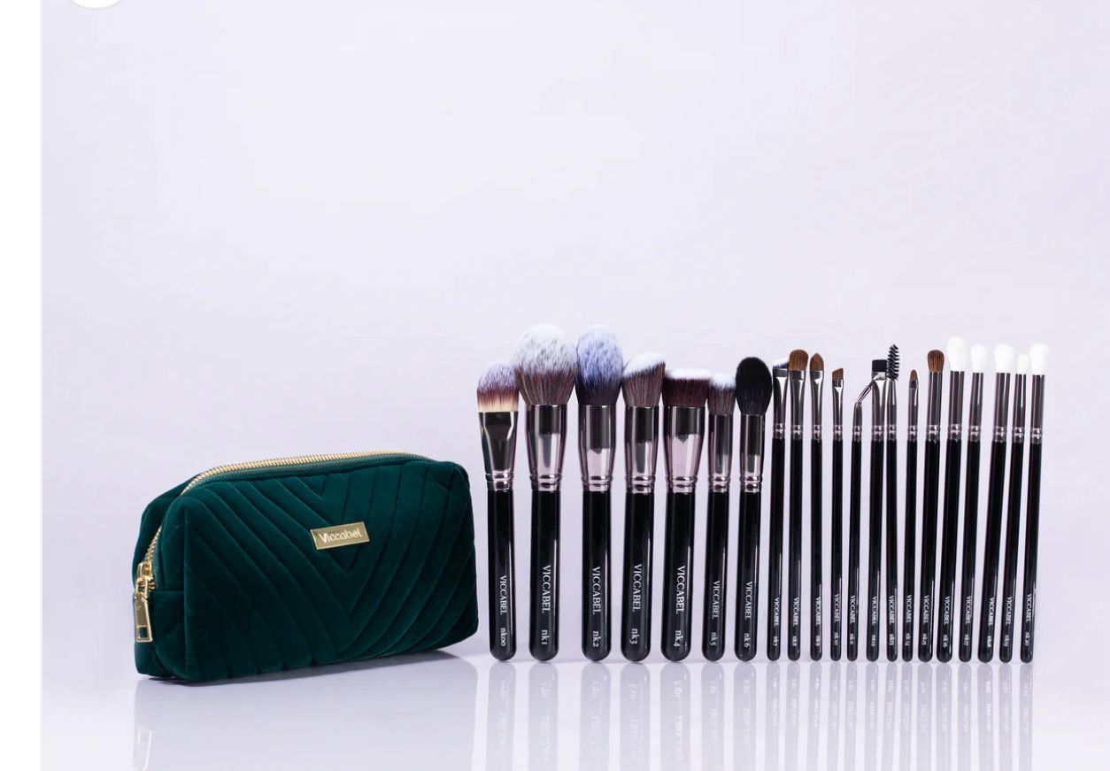 Viccabel Deluxe pro 21 piece Makeup Brush Set